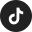 tiktok icon